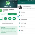 Old WhatsApp status update using text