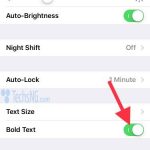 Bold text feature on iOS