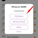 Edit Friend’s snapchat display name using iPhone