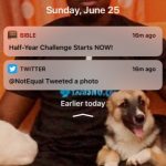 New Notification tray on iOS 11 developer beta