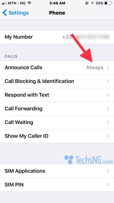 iPhone trick to announce calls