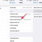 Deactivate iPhone to iPad phone calls sychronization