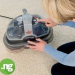 Pet deep cleaner
