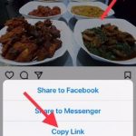 How to download instagram videos and pictures